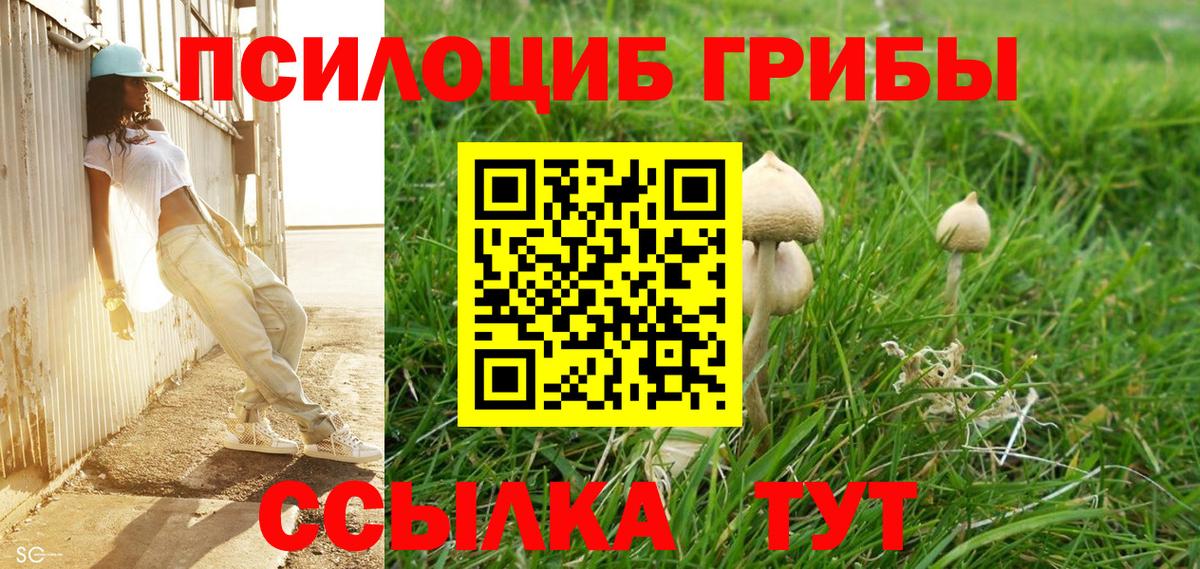 цена наркотик  Галлюциногенные грибы Magic Shrooms  Вход с VPN  Протвино 